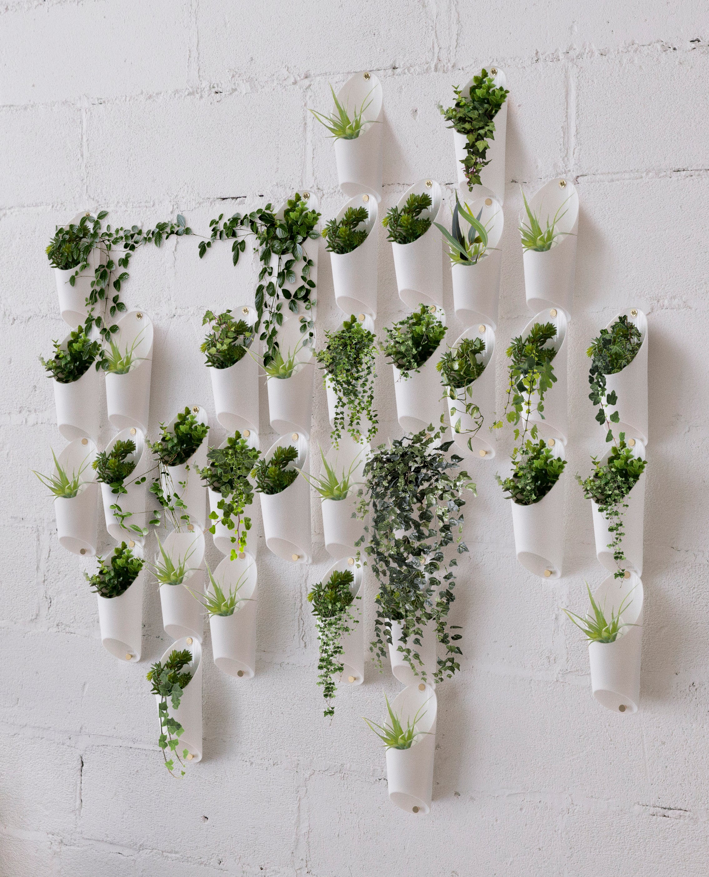 Cool Plants to Gift: Spring Edition | Bouqs Blog