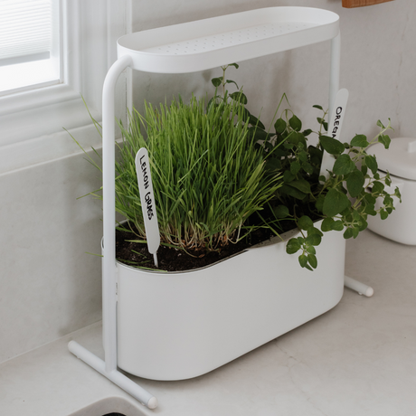 Umbra Giardino Planter