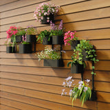 Wall Planters | color: Black | Hover