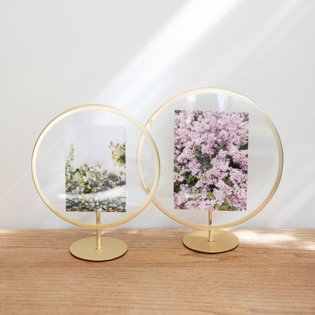 Modern Elegant Brushed Silver 4x6 Photo Frame with Floral and