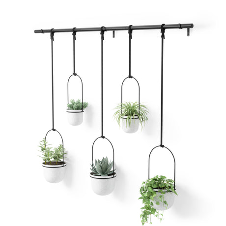 Hanging Planters | color: White-Black