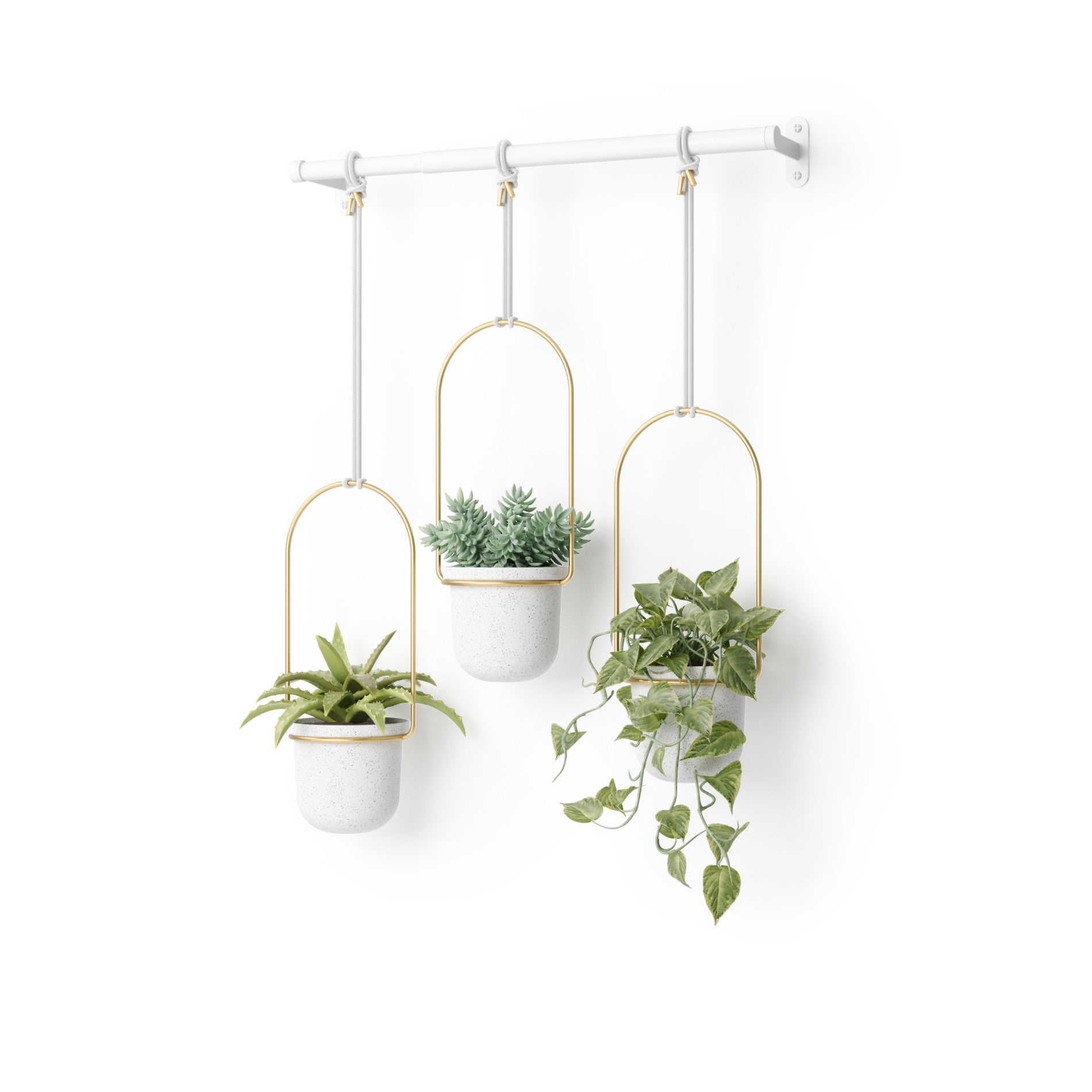 Hanging popular Planter Liquorice (Set of 3)