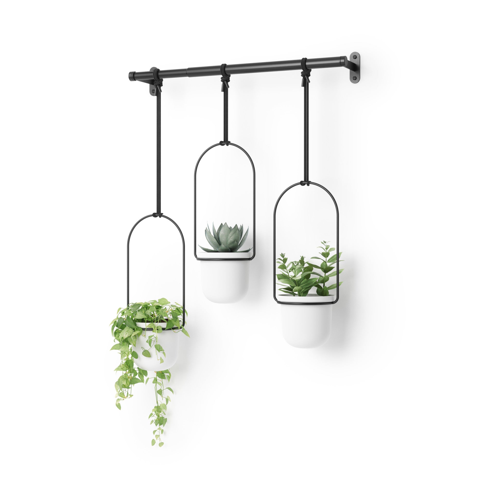 Hanging Planter – Umbra