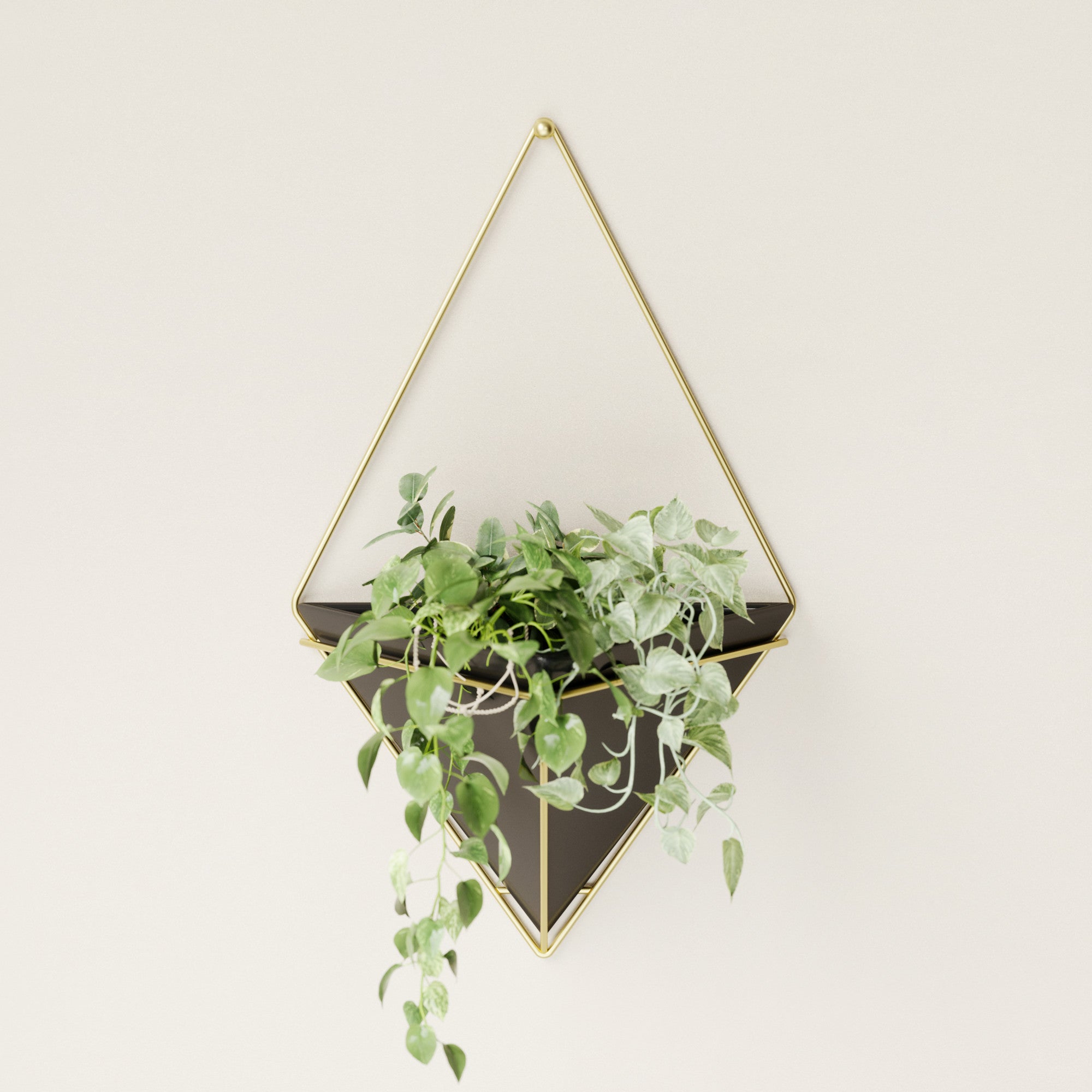 Umbra photo deals frame planter