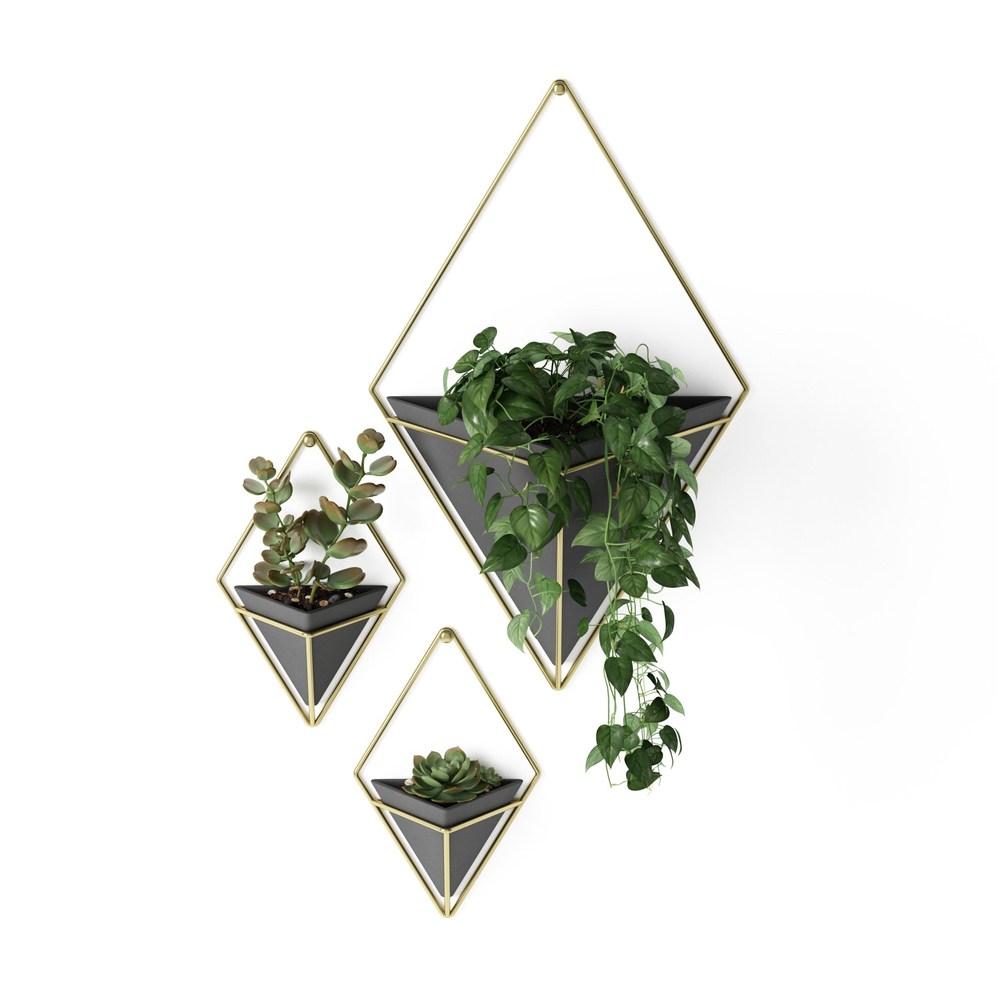 Umbra plant deals hanger