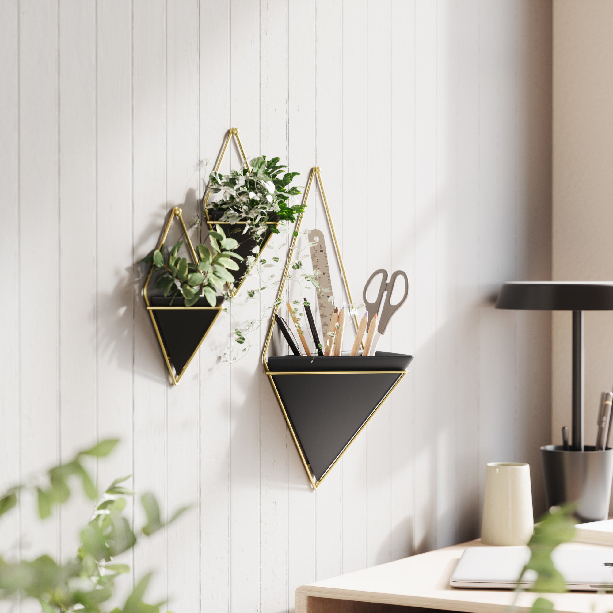 Umbra photo deals frame planter