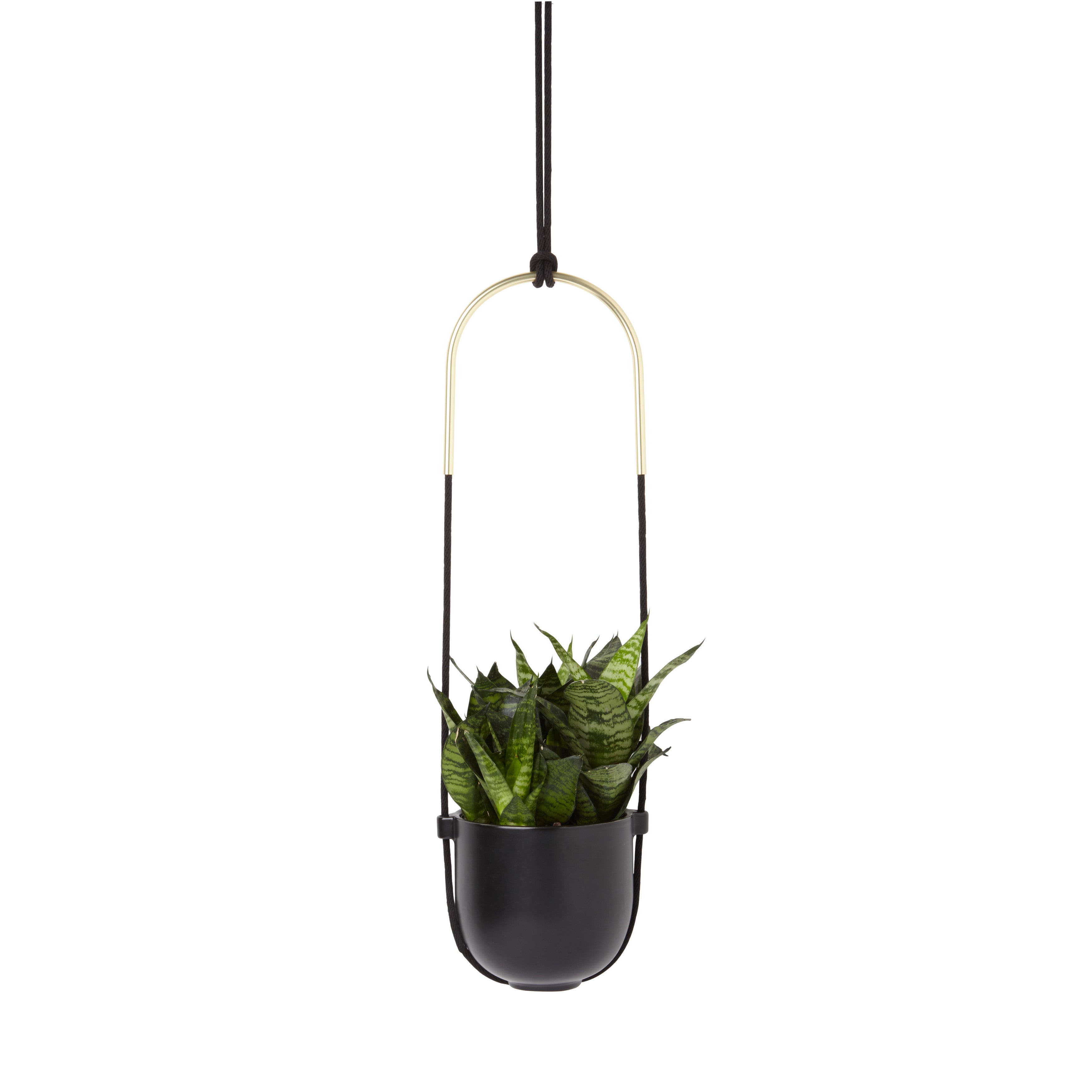 Umbra planter deals vase